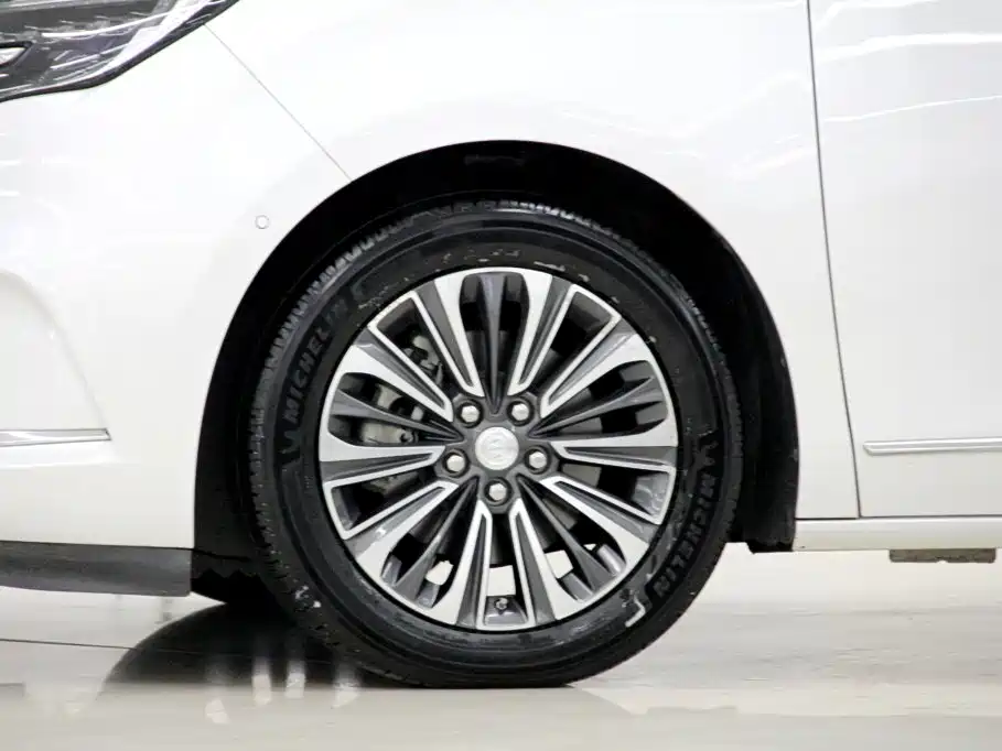 Buick GL8 — миниатюра 34