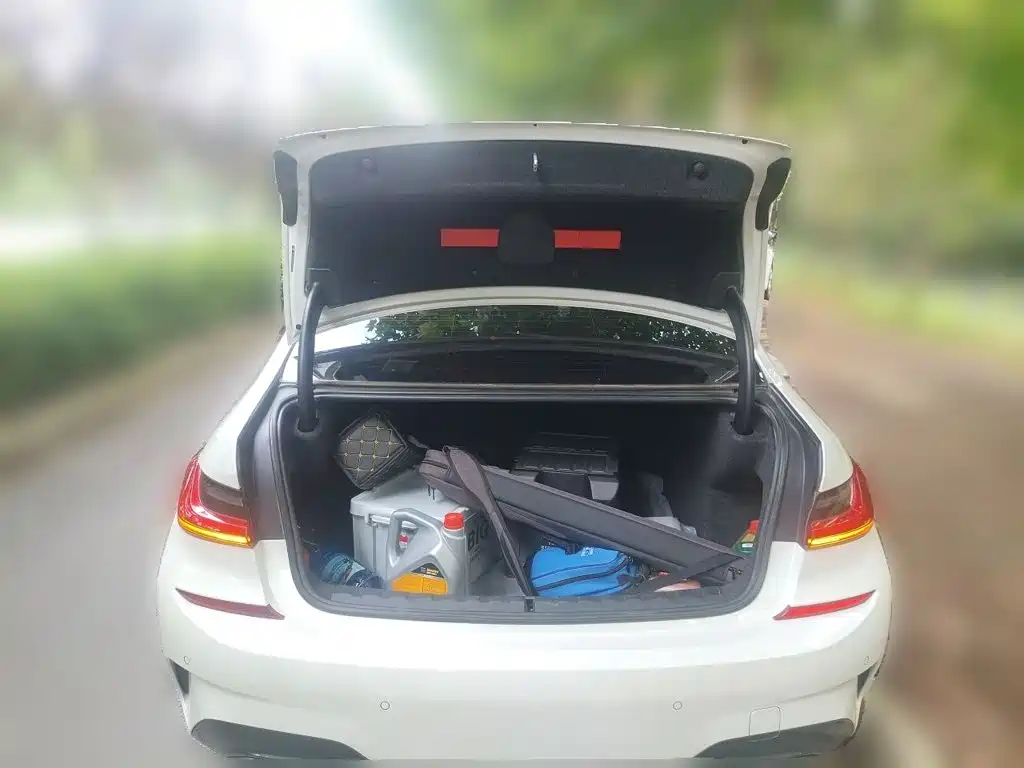 BMW 3 Series — миниатюра 10