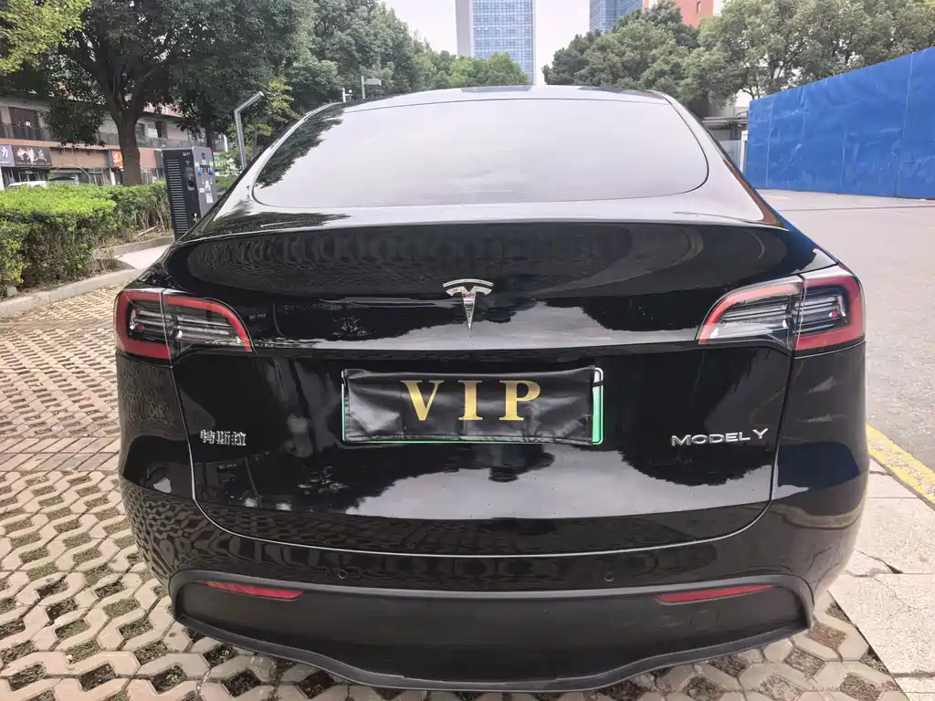 Tesla Model Y — миниатюра 5