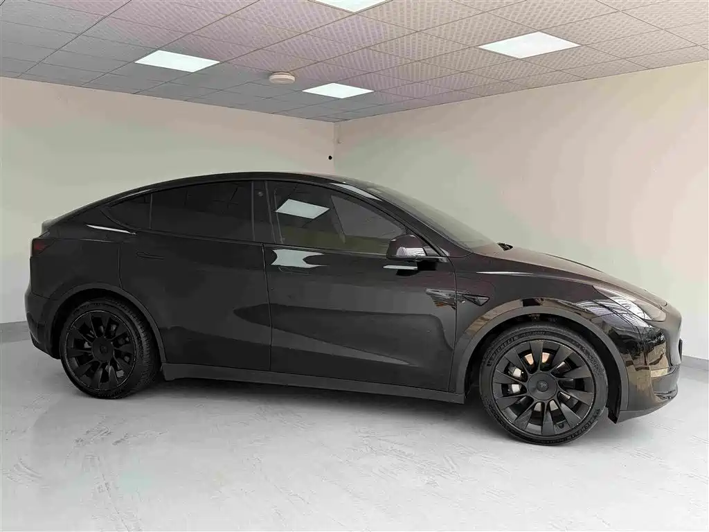 Tesla Model Y — миниатюра 3