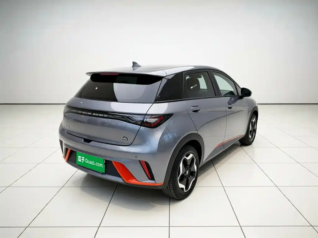 BYD Dolphin — миниатюра 6