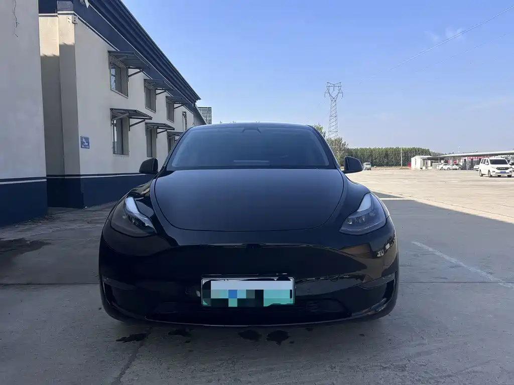 Tesla Model Y — миниатюра 2