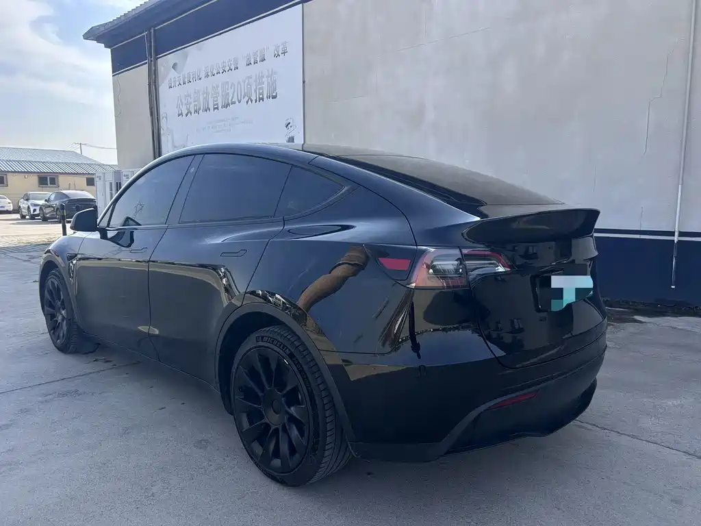 Tesla Model Y — миниатюра 6