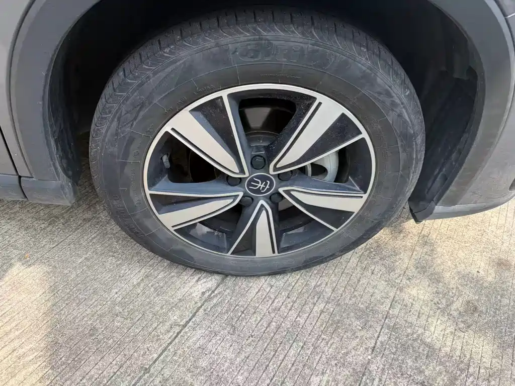 BYD Pro — миниатюра 14