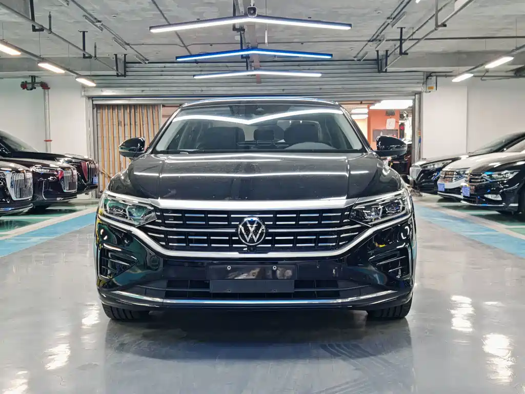 Volkswagen Passat — миниатюра 2