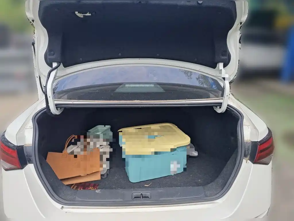 Nissan Sylphy — миниатюра 15