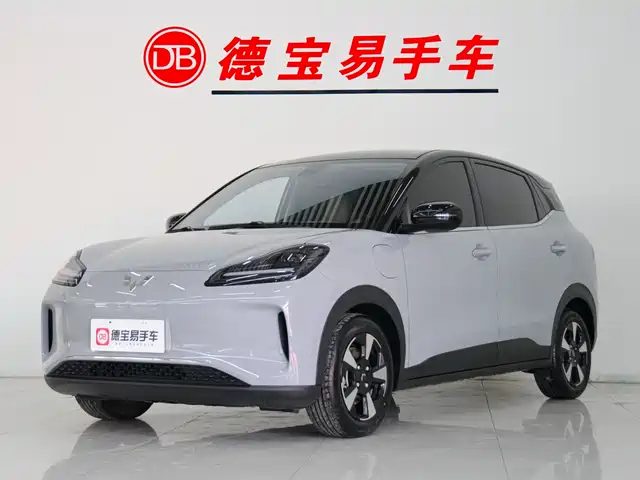 WULING WULING BINGGUO PLUS 2024