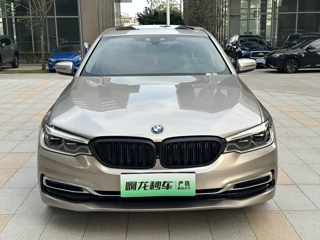 BMW 5 Series 5 2019 530Le Luxury