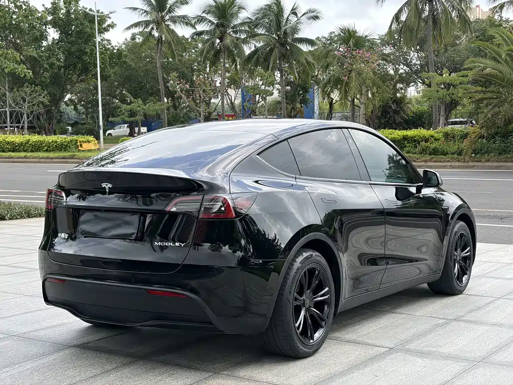 Tesla Model Y — миниатюра 8