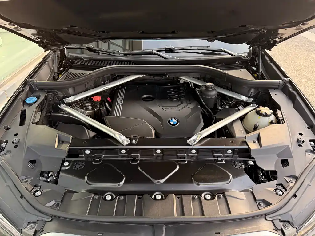 BMW X6 2020 xDrive30i M Sport