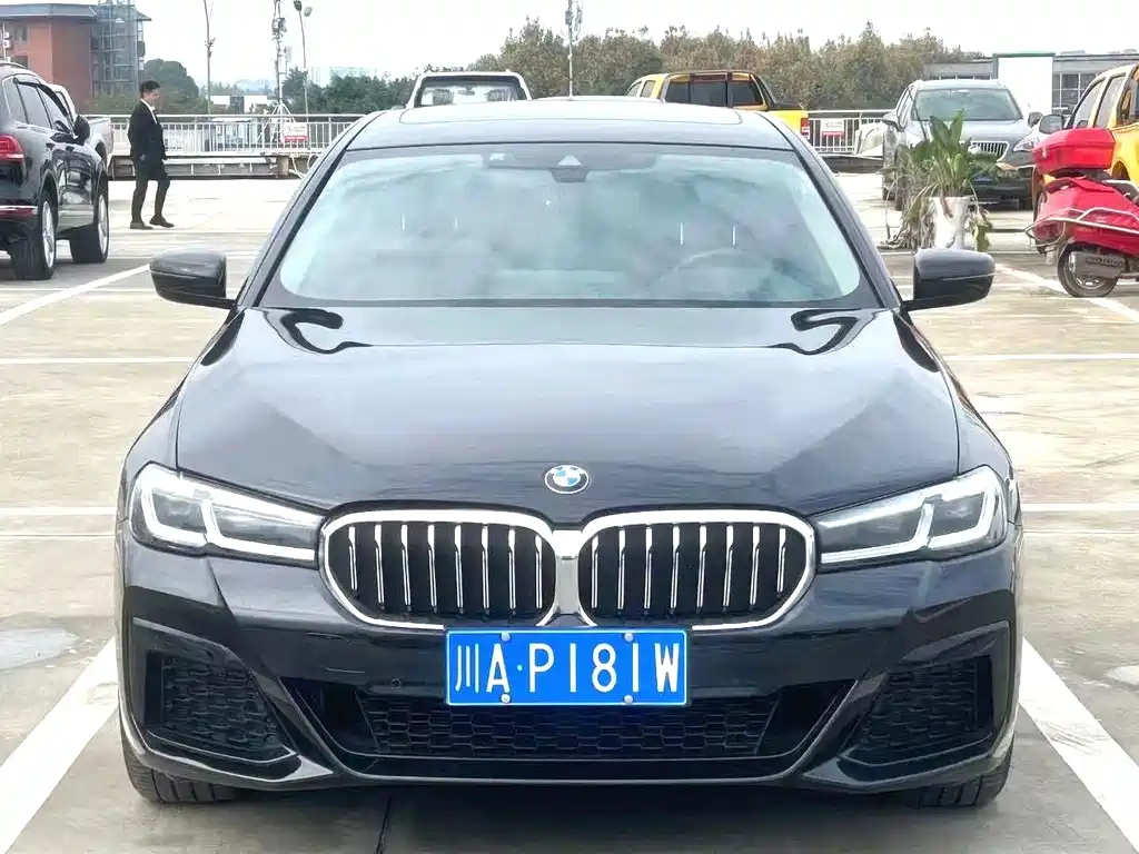 BMW 5 Series — миниатюра 3