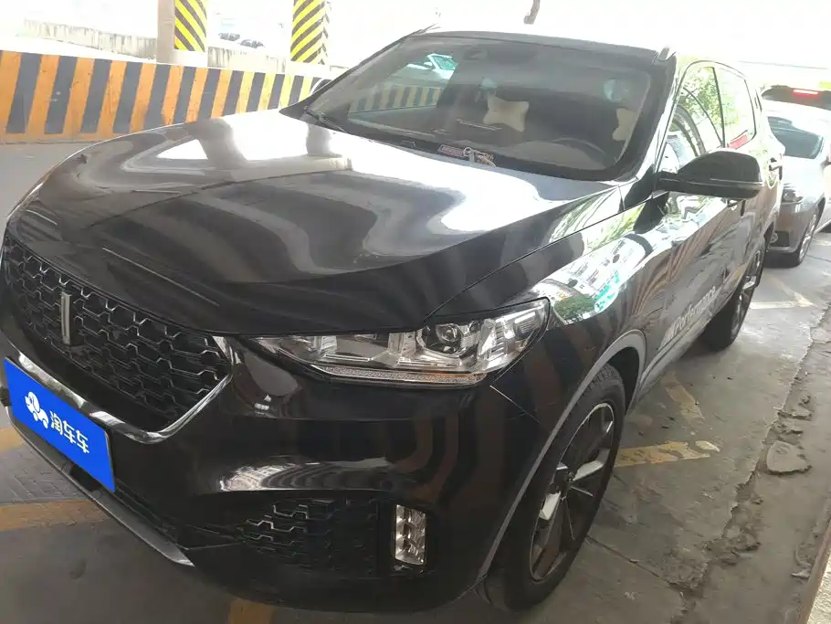 Wey Wey VV6