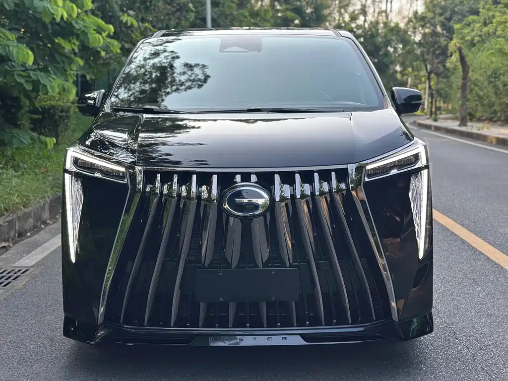GAC Motor Trumpchi M8 — миниатюра 2