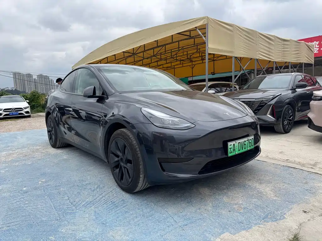 Tesla Model Y — миниатюра 2