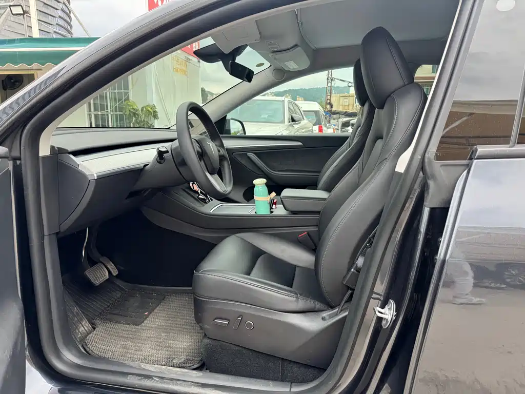Tesla Model Y — миниатюра 5