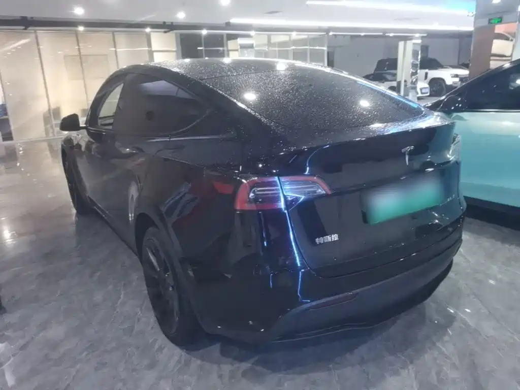 Tesla Model Y — миниатюра 5