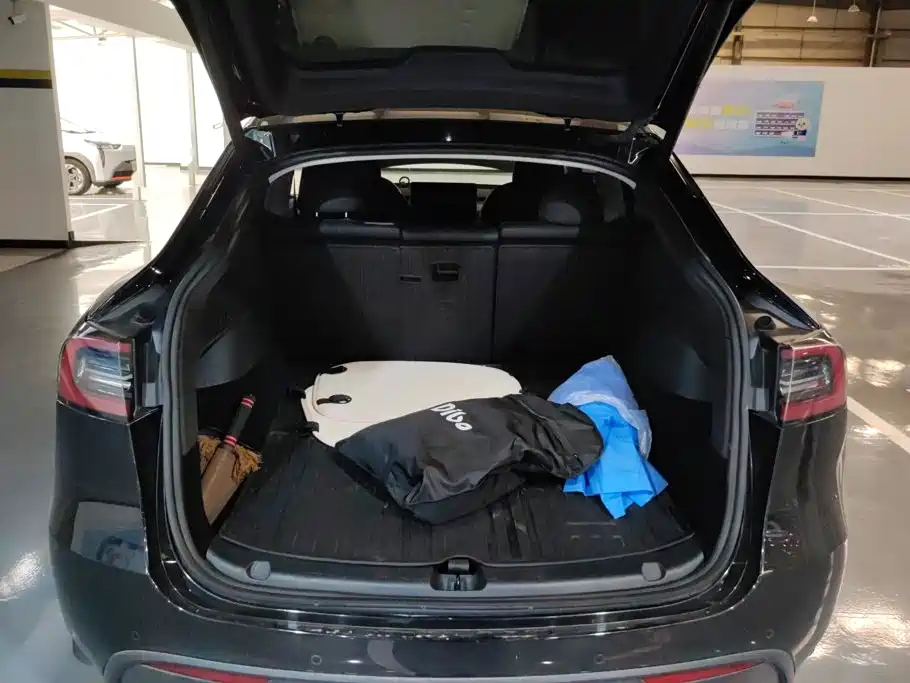 Tesla Model Y — миниатюра 4