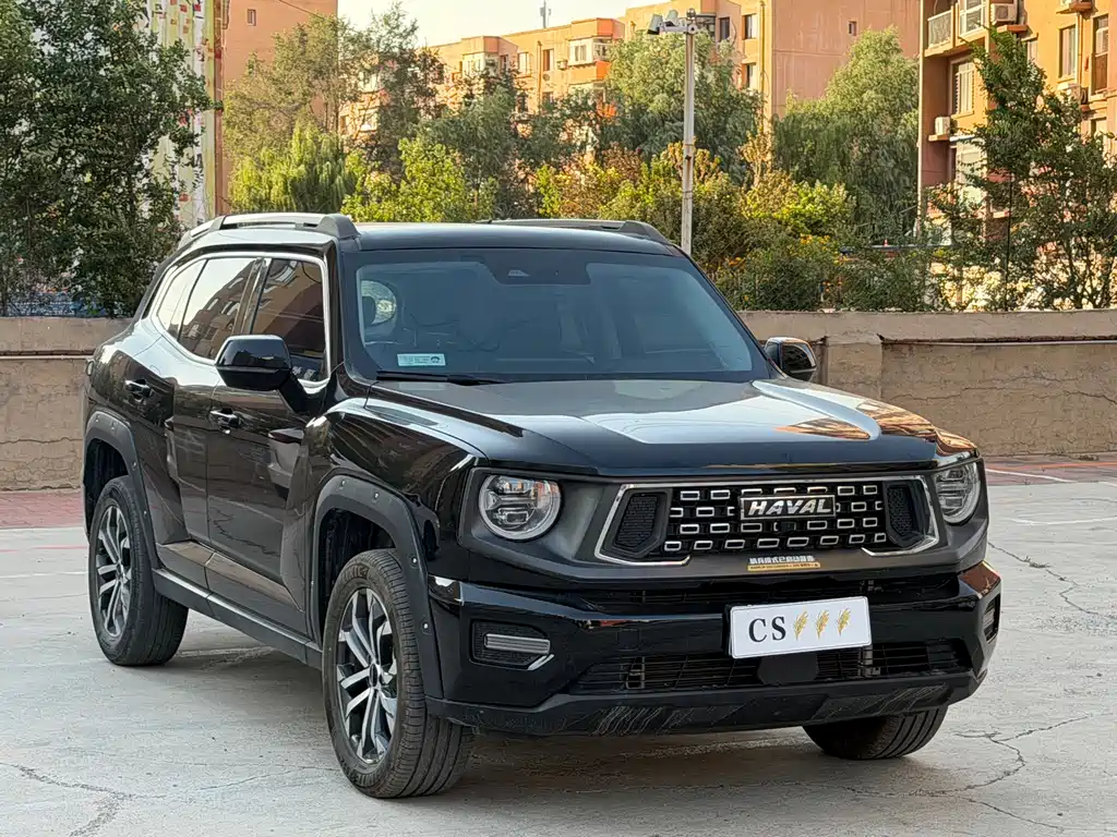 Haval Big Dog PLUS — миниатюра 3