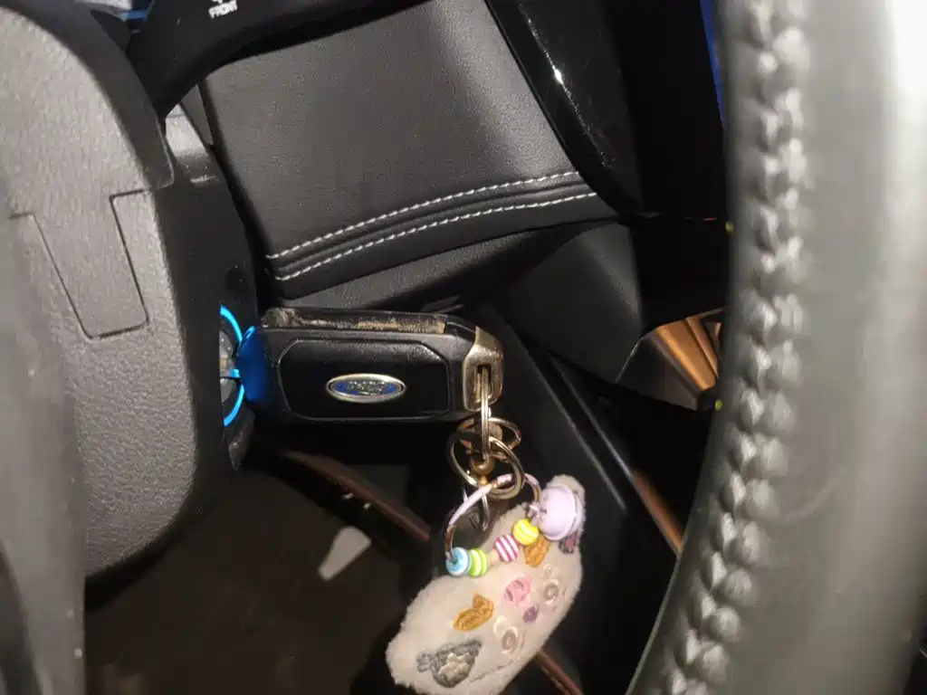 Ford Territory — миниатюра 12