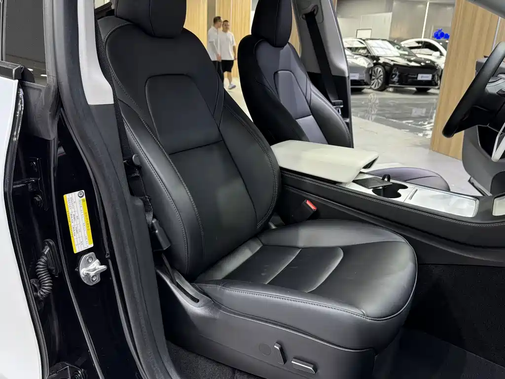 Tesla Model Y — миниатюра 16