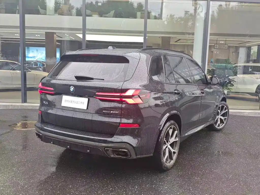 BMW X5 — миниатюра 2