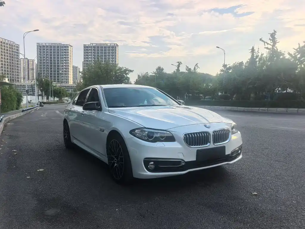 BMW 5 Series — миниатюра 3