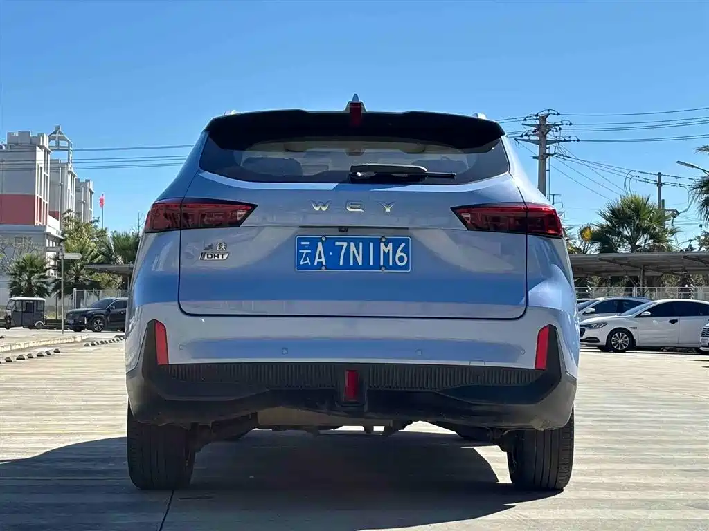 WEI PAI MACCHIATO DHT