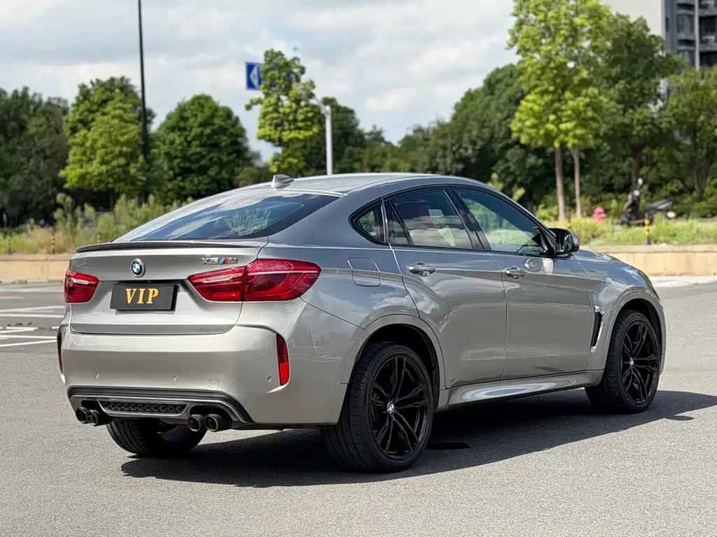 BMW X6 M — миниатюра 4