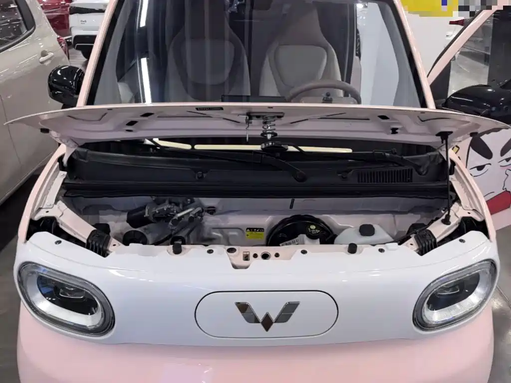 Wuling MINIEV — миниатюра 20