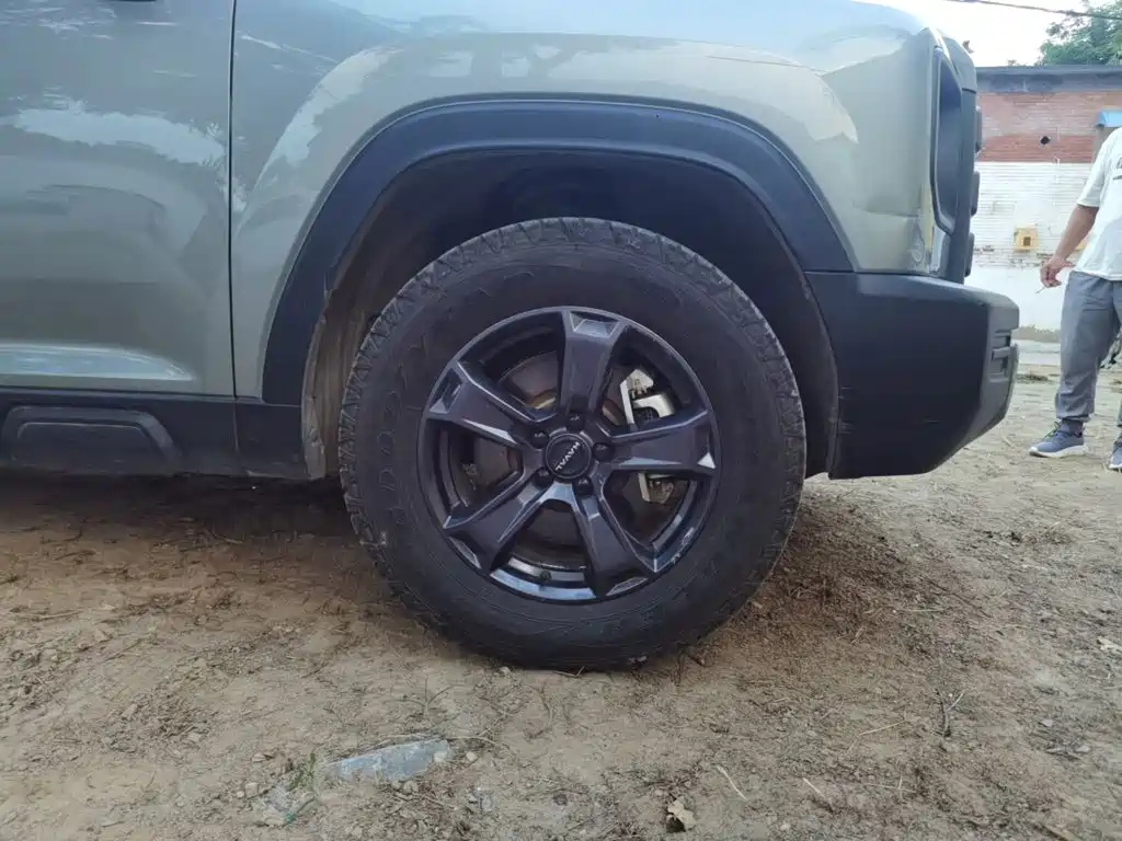 Haval Menglong New Energy — миниатюра 25