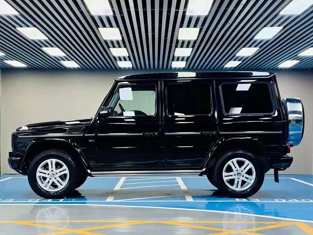Mercedes-Benz G-Class G 2010 G 500