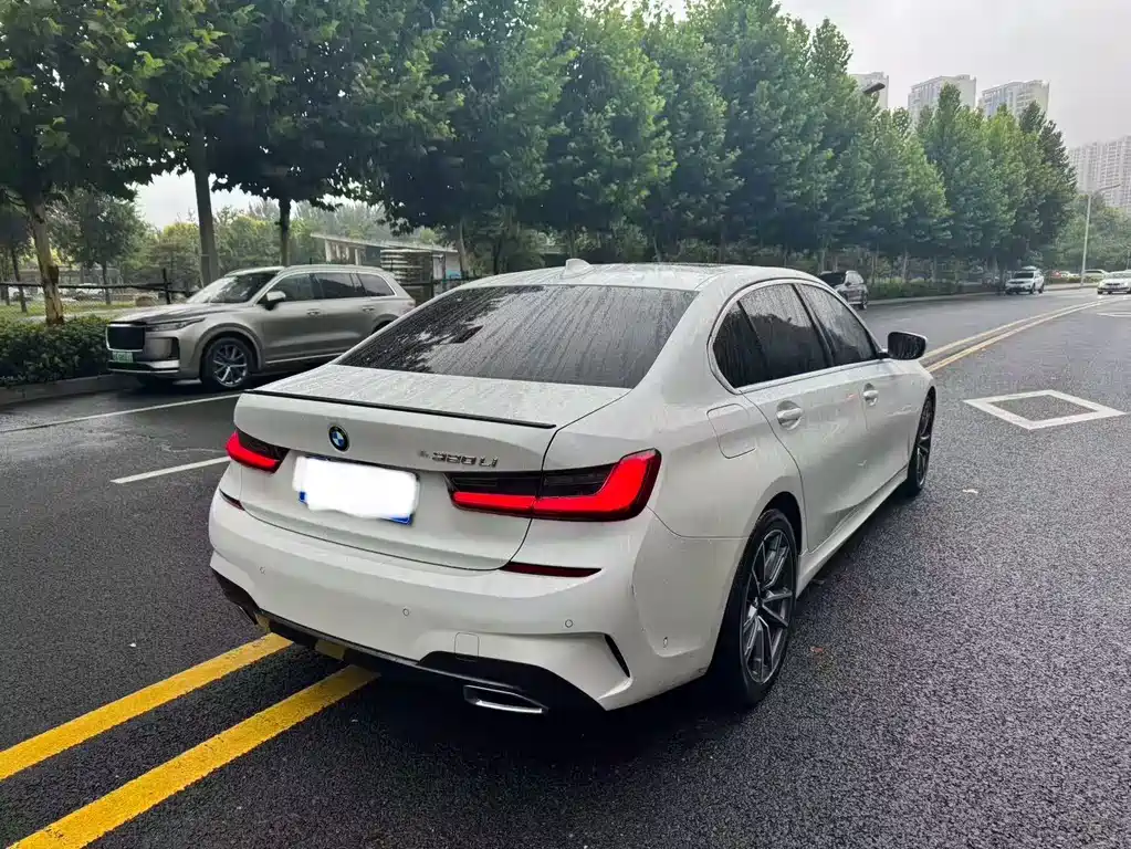 BMW 3 Series 3 2020 320Li M Sport