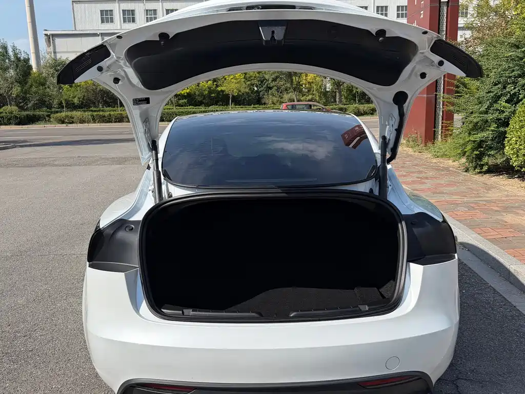 Tesla Model 3 — миниатюра 11
