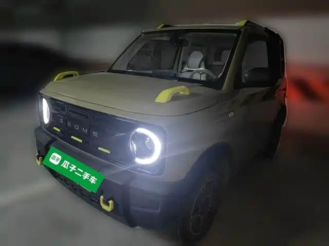 2024 Geely LC (Panda)