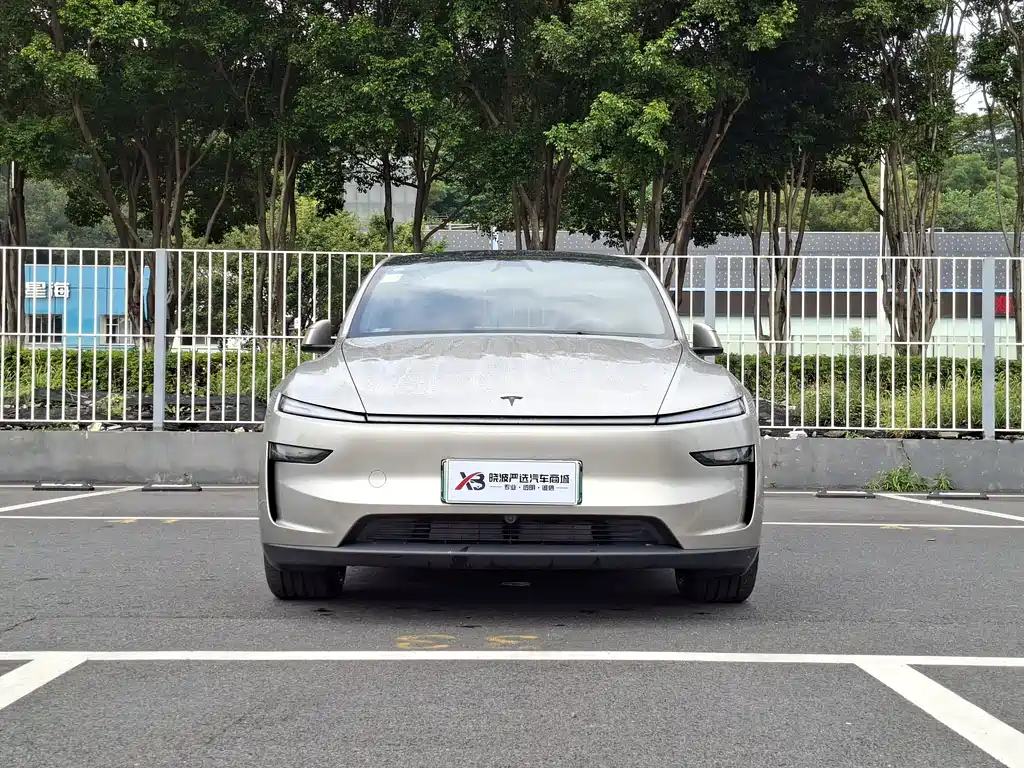 Tesla Model Y L — миниатюра 2