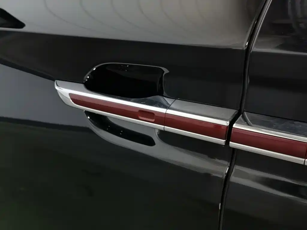 Hongqi Hongqi HQ9 — миниатюра 18