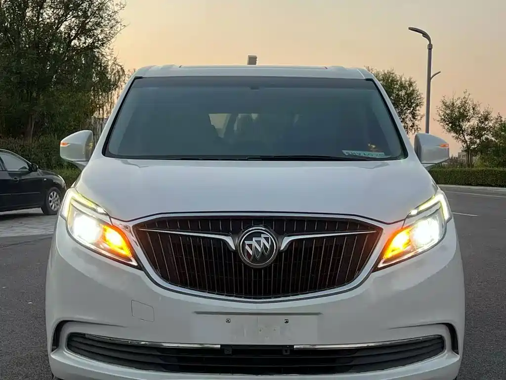 Buick GL8 — миниатюра 3