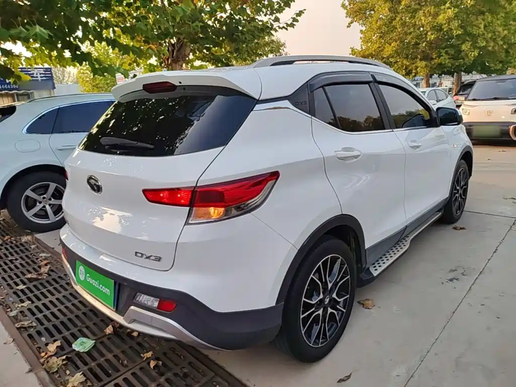 Soueast DX3 — миниатюра 7