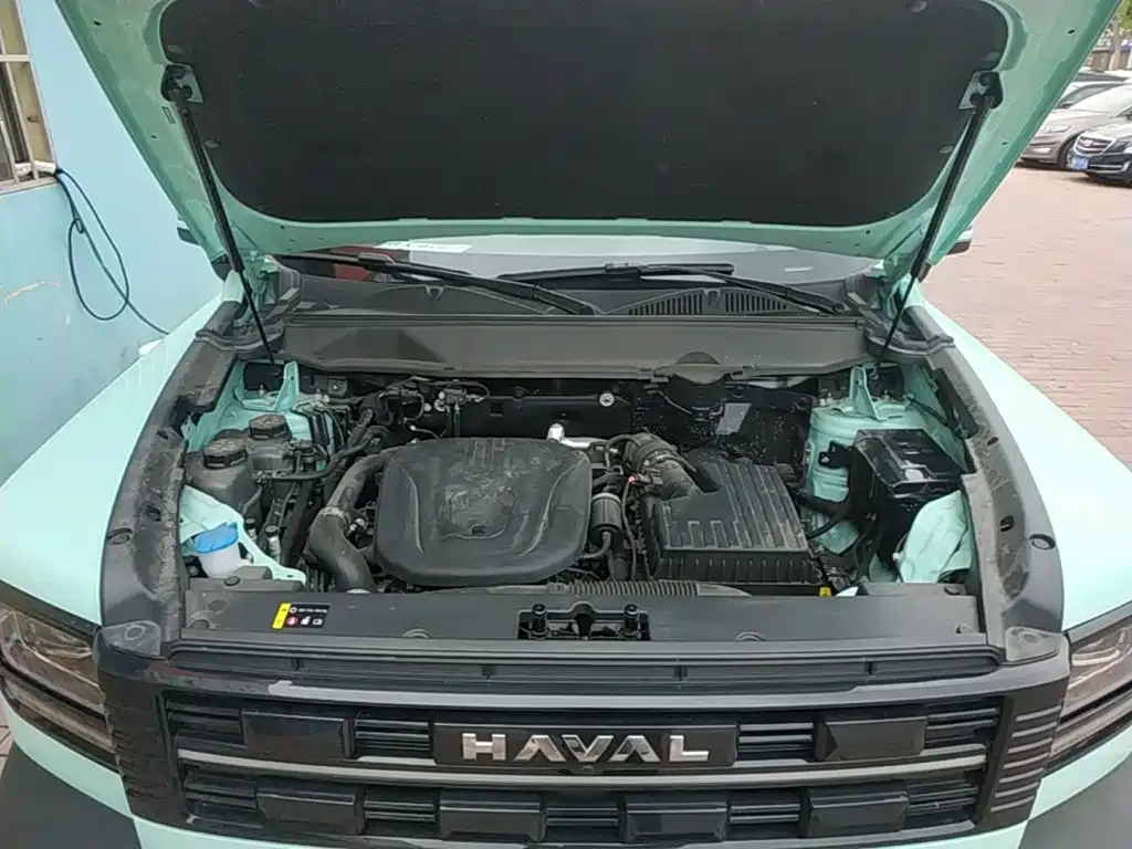 Haval Menglong New Energy — миниатюра 20