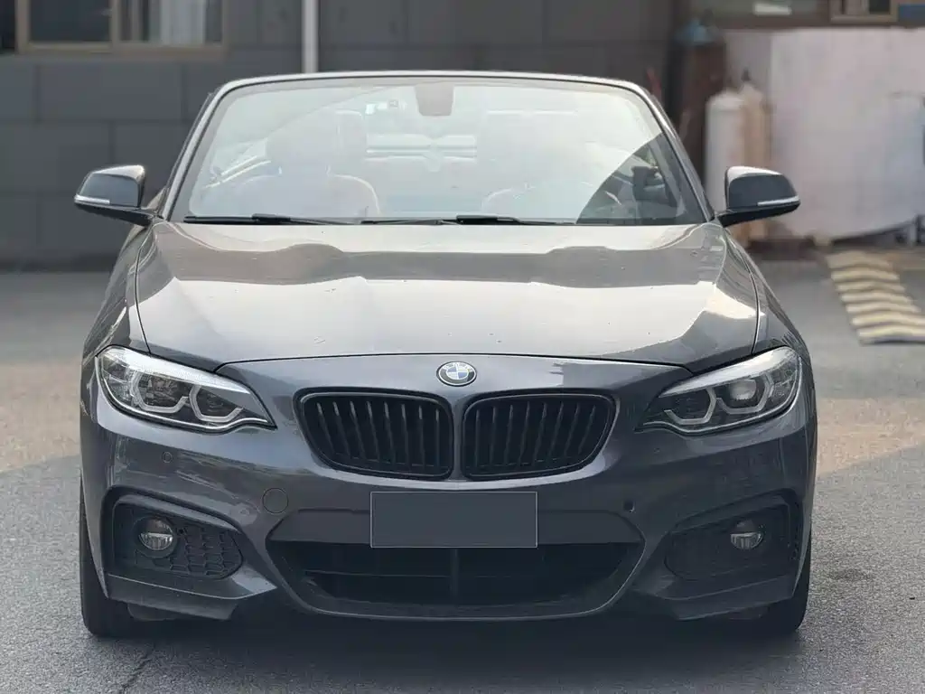 BMW 2 Series 2 2019 225i Premium M Sport