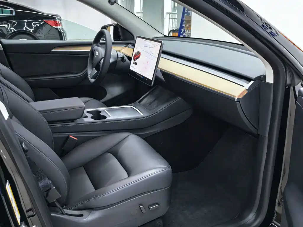 Tesla Model Y — миниатюра 10