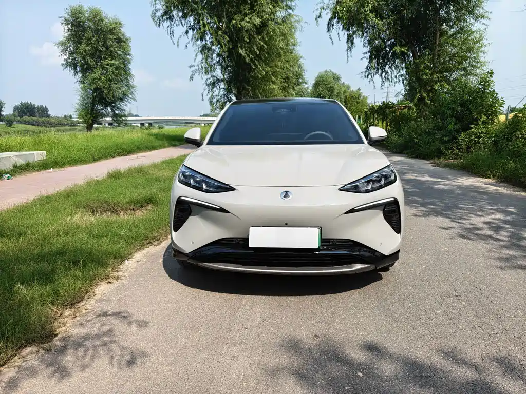 Denza Denza N7 — миниатюра 2