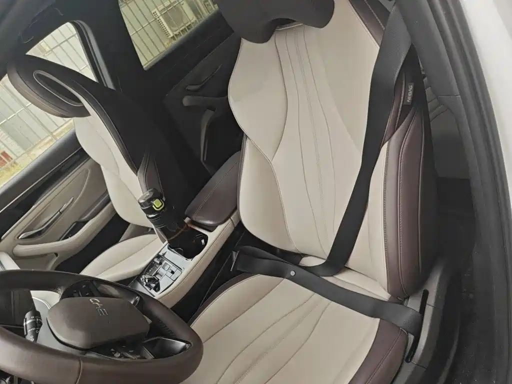BYD PLUS New Energy — миниатюра 16