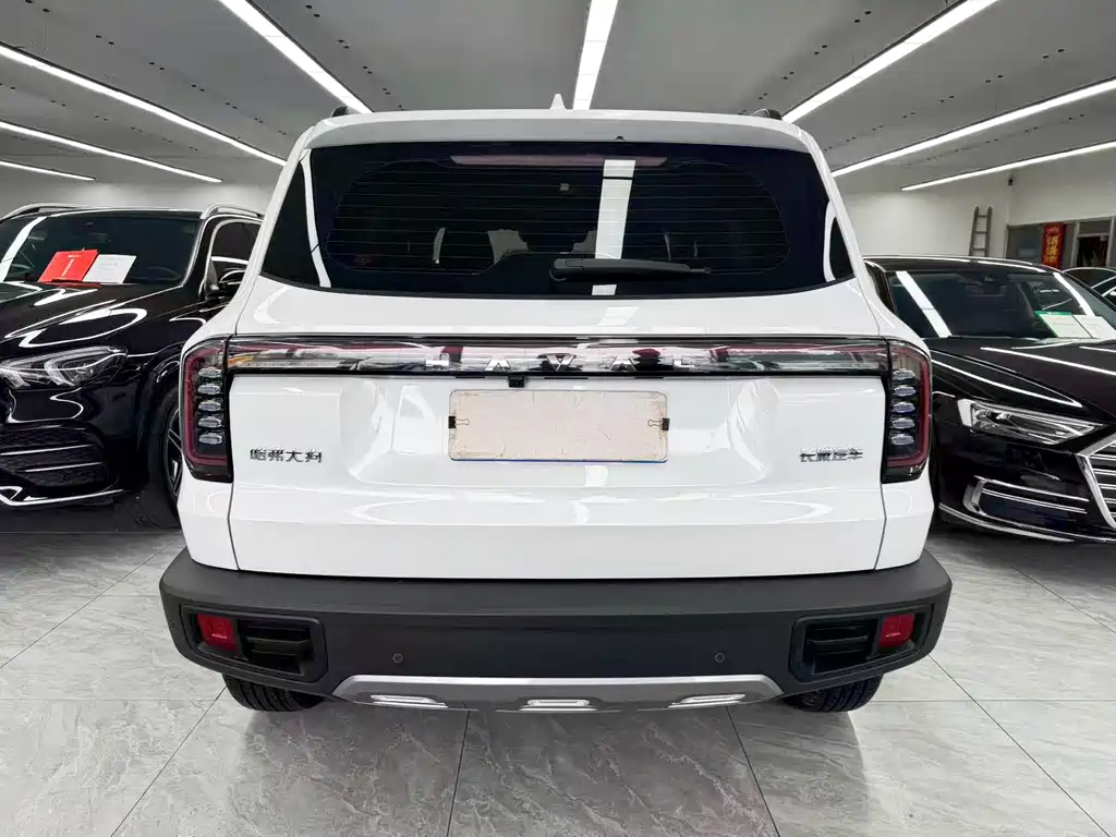 Haval Big Dog — миниатюра 5