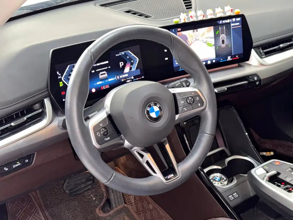 BMW X1 — миниатюра 11