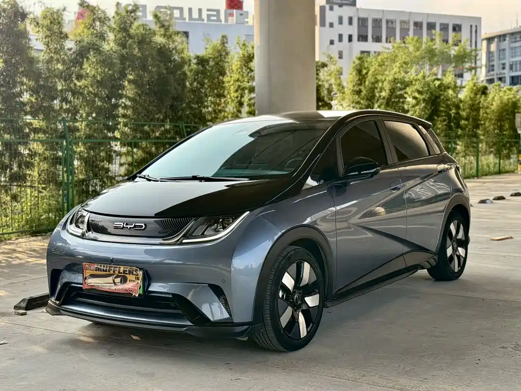 Byd Dolphin 2023