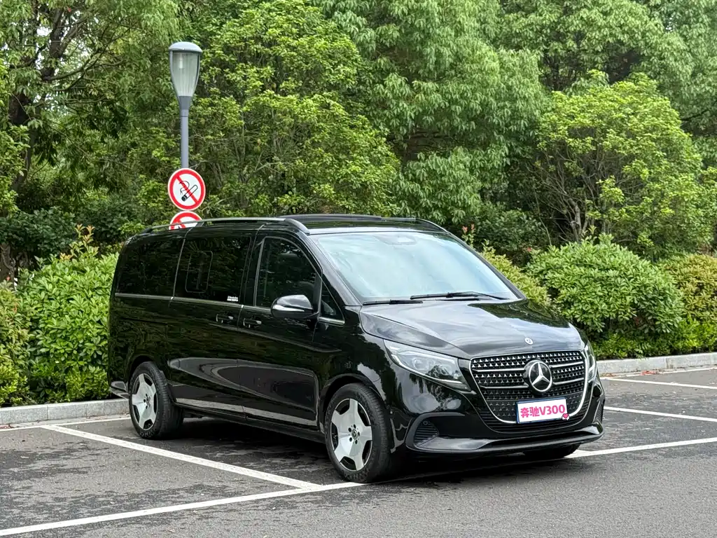 Mercedes-Benz V-Class V 2024 V 300