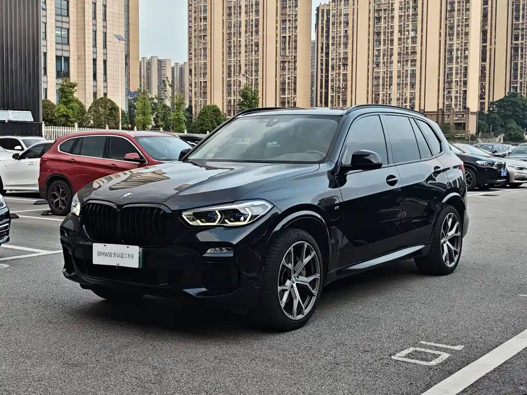 BMW X5 New Energy (Import)