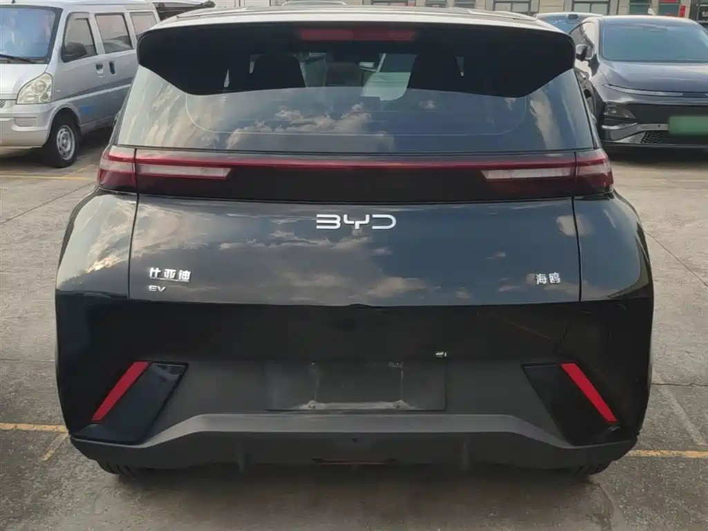 BYD Seagull 2024 305km