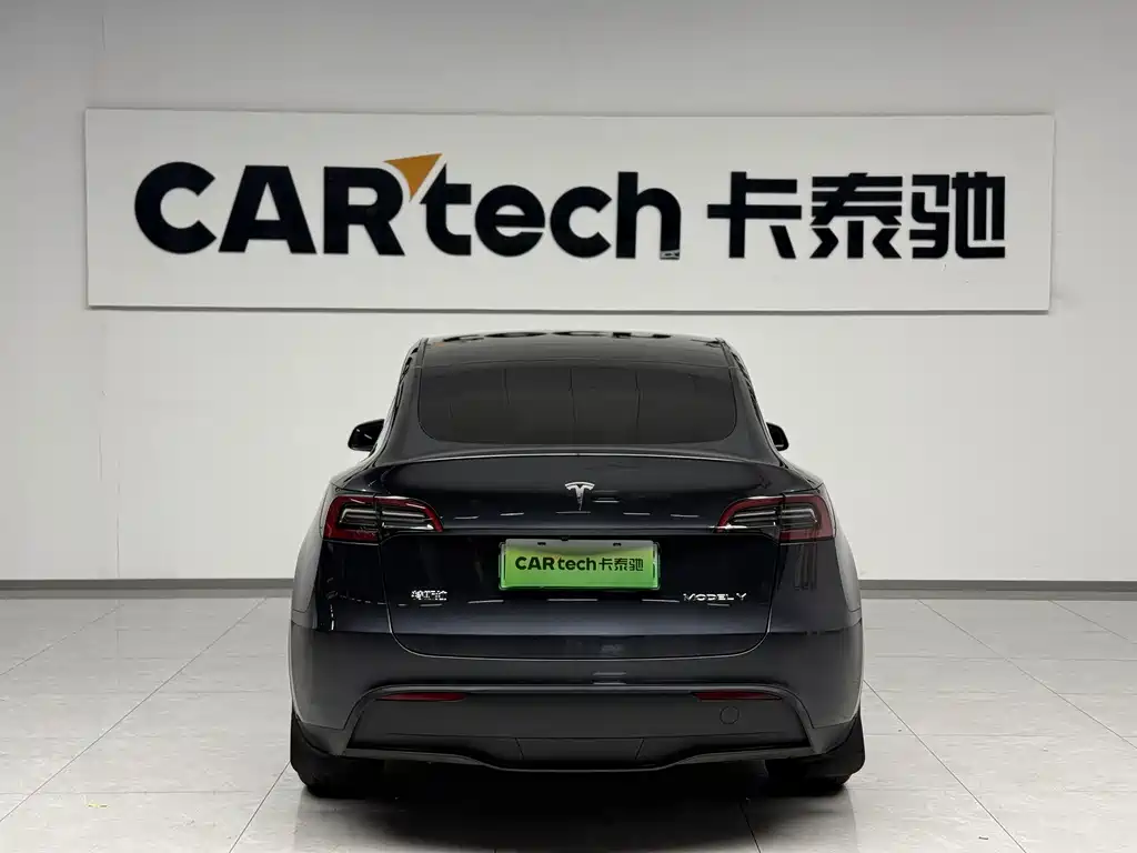 Tesla Model Y — миниатюра 4